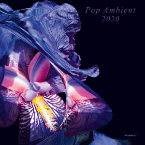 V/A - Pop Ambient 2020 - 2 x LP - Click Image to Close