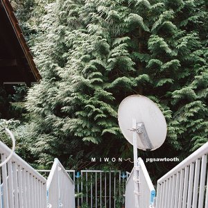 Miwon - Jigsawtooth - Click Image to Close
