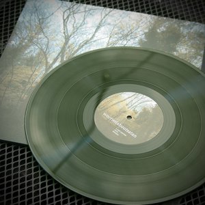 worriedaboutsatan - Time Lapse - 180gram Creepy Forest Green LP - Click Image to Close