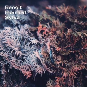 Benoit Pioulard - Sylva - LP