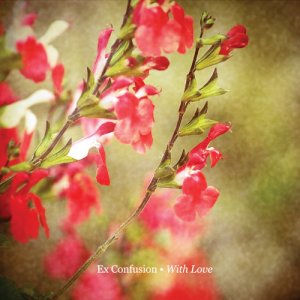 ex confusion - with love - Click Image to Close