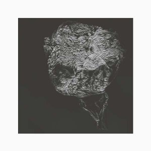 david toop - entities inertias faint beings lp