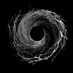 dawn of midi - dysnomia - clear 2 x lp