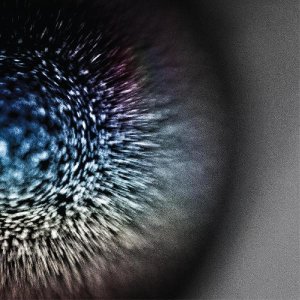 emptyset - Blossoms - Clear LP - Click Image to Close