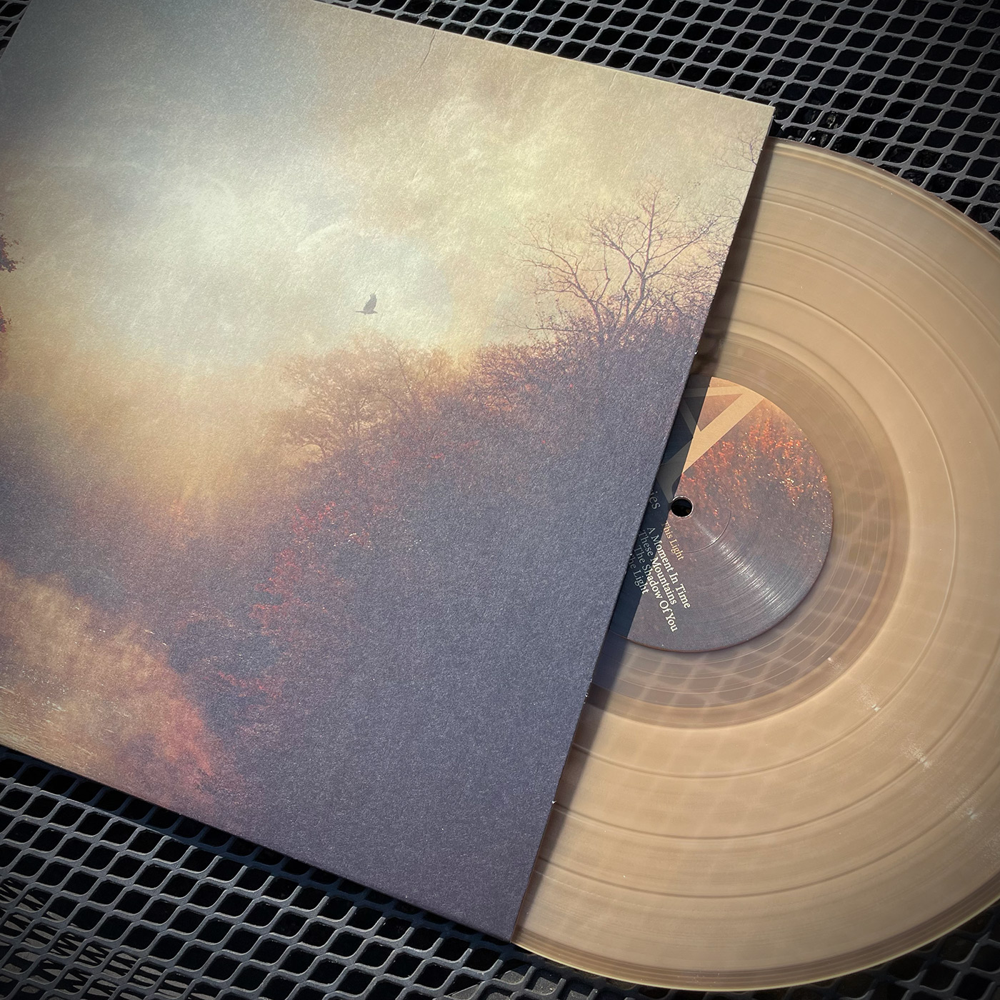 Stray Theories - This Light - Transparent Copper LP