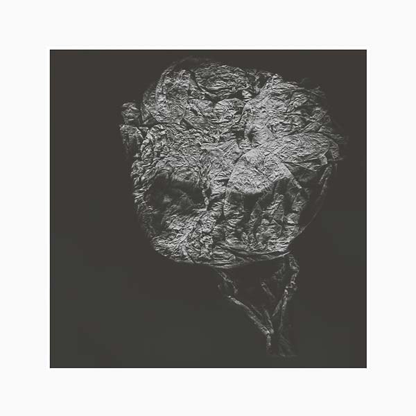 david toop - entities inertias faint beings lp