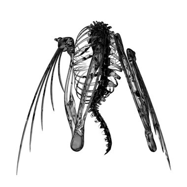 lotic - heterocetera ep