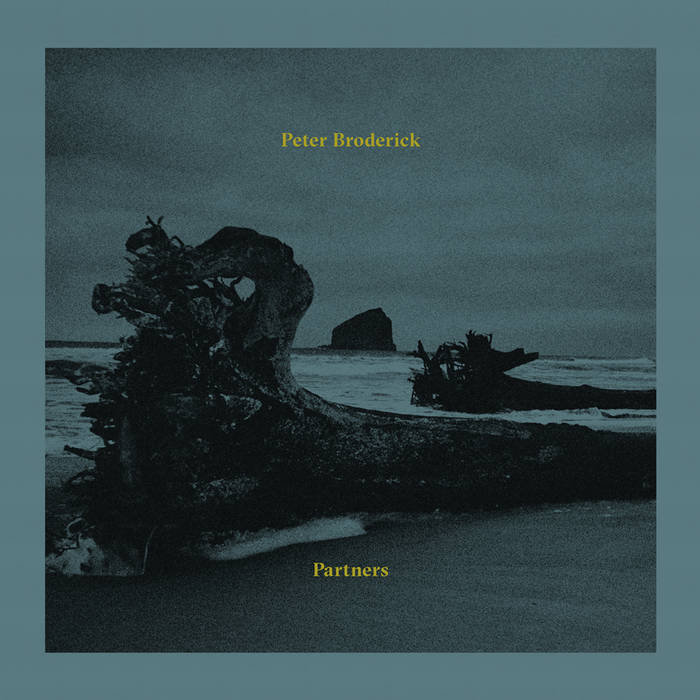 peter broderick - partners