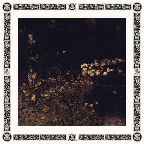 Sarah Davachi - Pale Bloom - LP